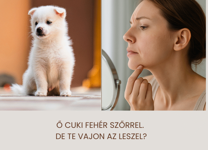Miért nem működik a lézeres szőrtelenítés ősz szőr esetén? 79 1 1
